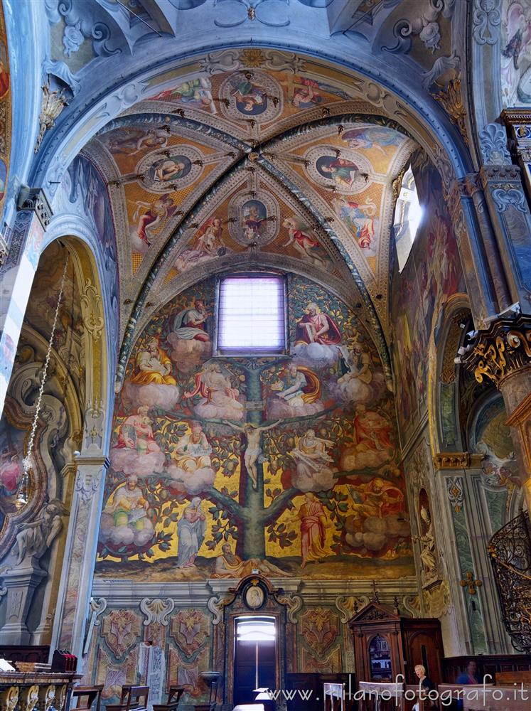 Monza (Monza e Brianza, Italy) - Tree of life on the right wall of the transept of the Duomo of Monza